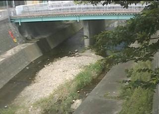 山田川 西岡橋の河川増水映像